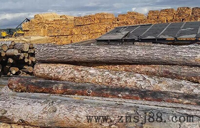 竹膠板廠到達(dá)俄羅斯木材王國