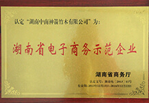   湖南省電子商務示范企業(yè)