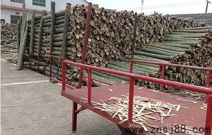 竹膠板廠家(中南神箭)原材料楠竹