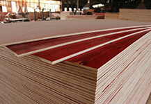 新加坡貿(mào)易公司購建筑木模板 選中南神箭 出口緬甸