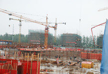 建筑木方木質細密 中南神箭您絕佳的采購選擇