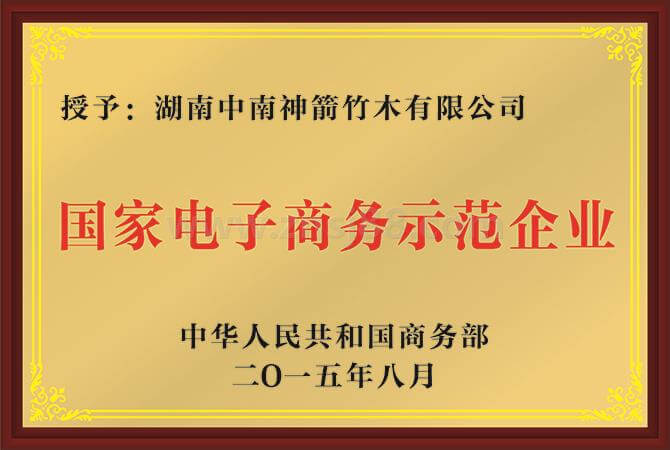 國家級電子商務示范企業