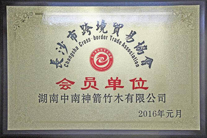 長沙跨境電子商務協會會員單位—中南神箭