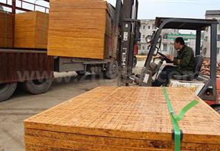 磚托板牽紅線 中南神箭與福建古總“一見如故”