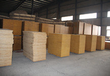 中南神箭高性價比磚托板 新疆開拓者千里來尋