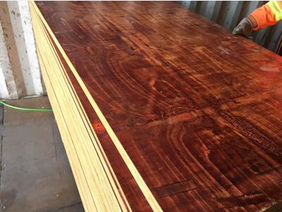 【廣東】中南神箭服務好 再次選擇購木模板