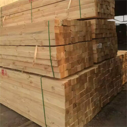 湖南美女建精致木屋,選擇中南神箭鐵杉木方