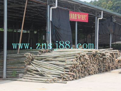 中南神箭工廠原材料-楠竹 中南神箭工廠原材料-楠竹