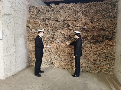 查看竹子干濕度 查看竹子干濕度