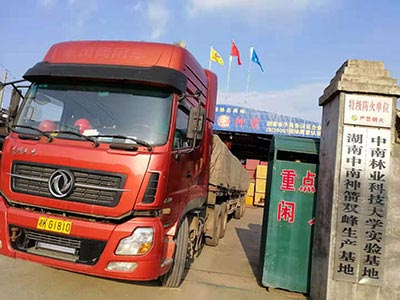 竹膠板裝車發貨 竹膠板裝車發貨