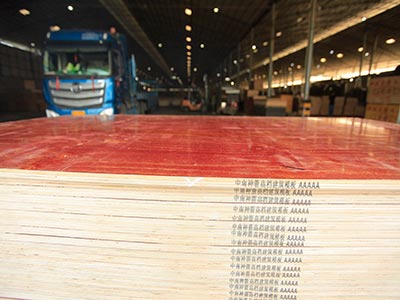 中南神箭:工程采購人要了解的建筑模板特點