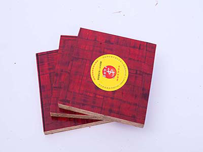 圖片1795.png 圖片1795.png