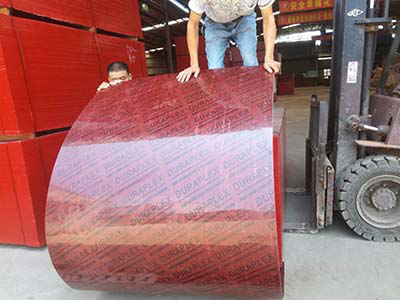 圖片1410.jpg 圖片1410.jpg