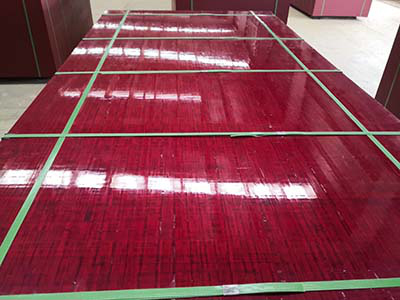 圖片1796.jpg 圖片1796.jpg