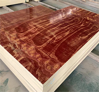 建筑木模板 8層板