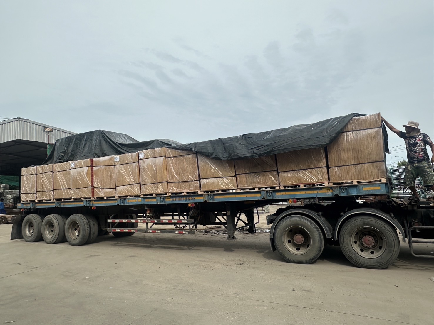 中南神箭·發貨|洛陽市客戶訂購木模板建筑模板裝車發貨