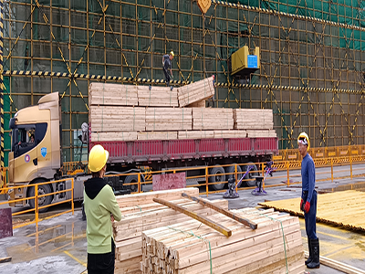 中南神箭·案例|海南省某樓盤使用我司建筑木方