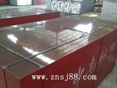 中南神箭竹膠板 中南神箭竹膠板