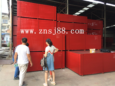 Tony來到竹膠板生產(chǎn)廠家——中南神箭進(jìn)行實(shí)地考察