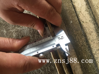 中南神箭對烘干后的竹簾進行厚度測量