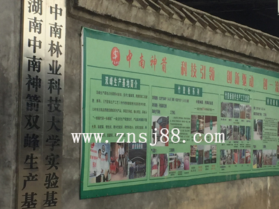 中南神箭工廠外圍 中南神箭工廠外圍