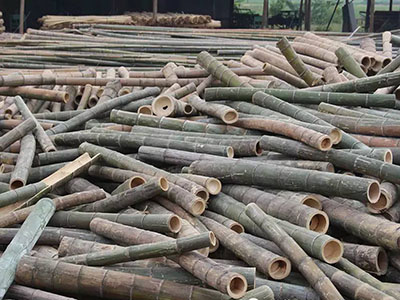 竹膠板楠竹原材料 竹膠板楠竹原材料