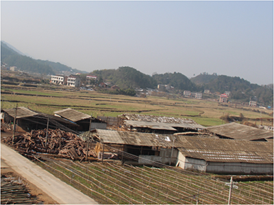 2003年中南神箭竹膠板廠 2003年中南神箭竹膠板廠