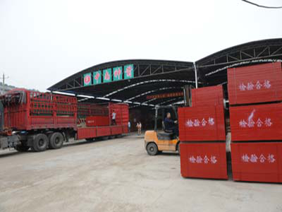 中南神箭竹膠板工廠 中南神箭竹膠板工廠