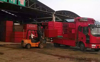 裝車中(竹膠板)