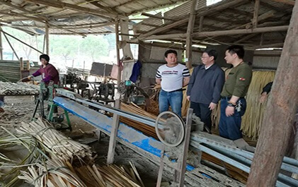 韓健教授就竹膠板產品生產現場指導